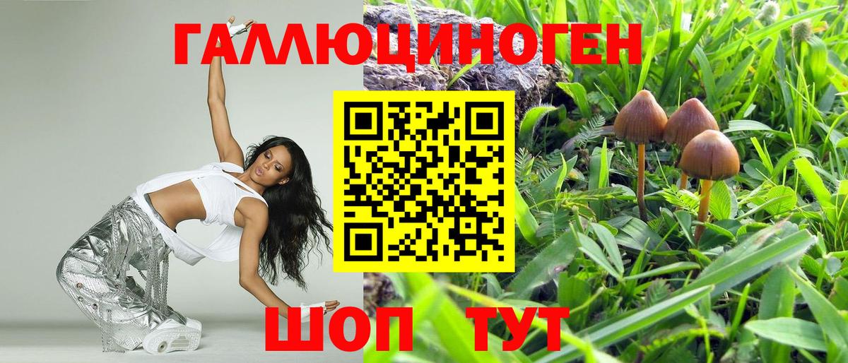 Сокол  Псилоцибиновые грибы MAGIC MUSHROOMS  Вход с VPN  Галлюциногенные грибы MAGIC MUSHROOMS 