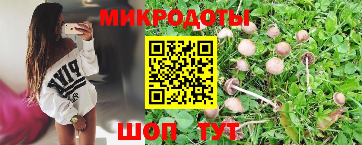 Псилоцибиновые грибы ЛСД Сокол